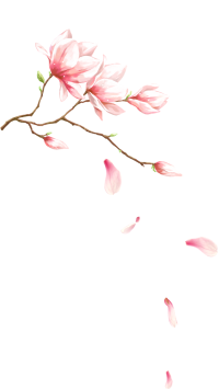 flower_1_4
